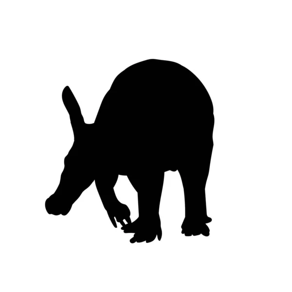 Silhouette Aardvark Animale Africano — Vettoriale Stock