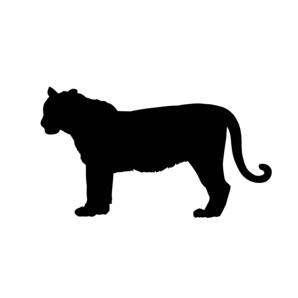 Silueta Tigre Andante — Vector de stock