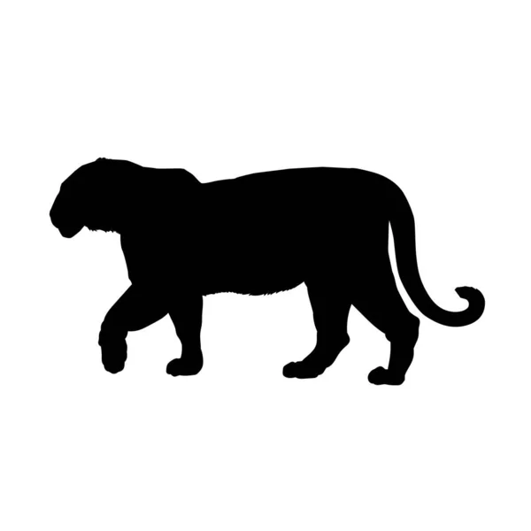 Silhueta Tigre Ambulante — Vetor de Stock