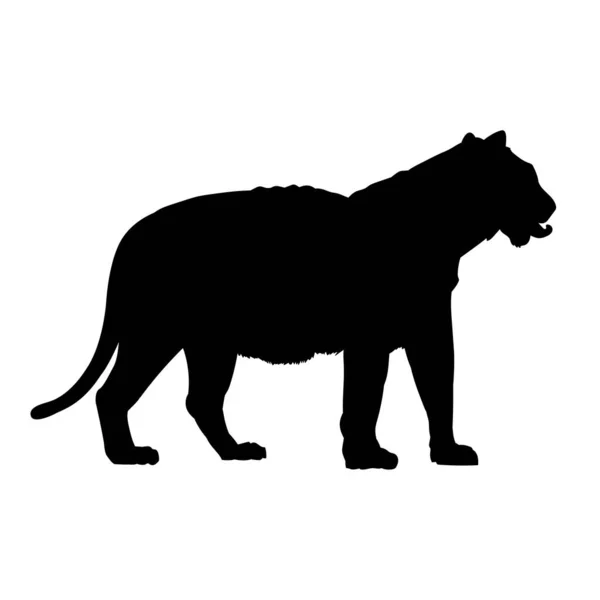 Silhouette Eines Wandelnden Tigers — Stockvektor