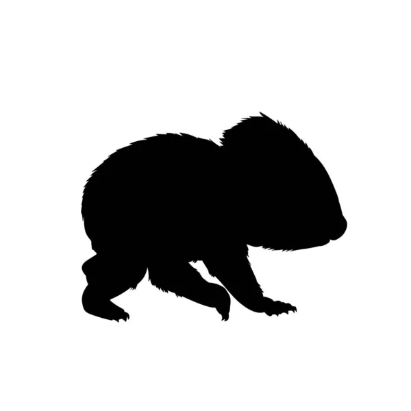考拉动物的轮廓 澳大利亚考拉森林动物的轮廓 — 图库矢量图片