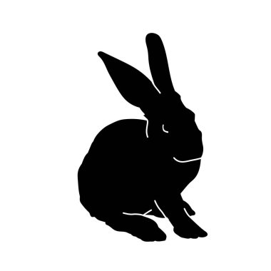 Beyaz arka planda izole edilmiş tavşan hayvan silueti..