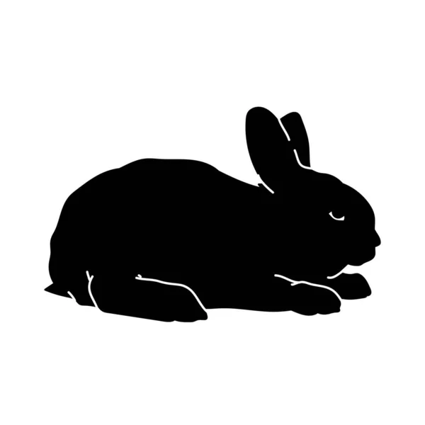 Silhouette Von Kaninchen Tier Isoliert Auf Weißem Hintergrund — Stockvektor