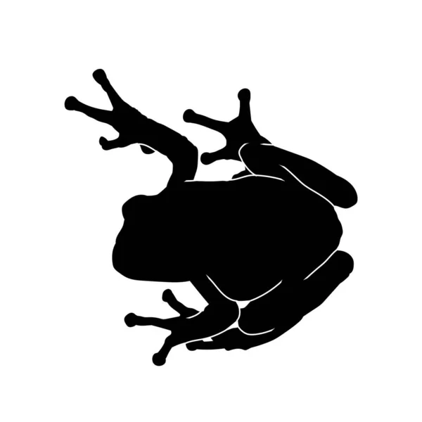 Silhouette Eines Laubfrosches Oder Krötenamphibientieres Isoliert Auf Weißem Hintergrund — Stockvektor