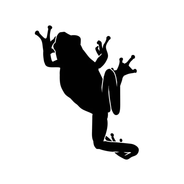 Stock vector Silhouette of a tree frog or taod animal isolated on white background.