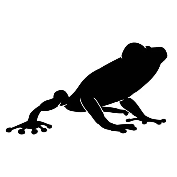 Silhouette Eines Laubfroschs Oder Taod Tier Isoliert Auf Weißem Hintergrund — Stockvektor