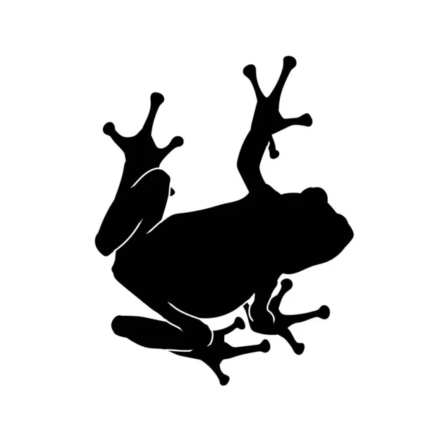 Silhouette Tree Frog Taod Animal Isolated White Background — Stock Vector