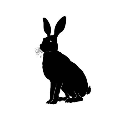Beyaz arka planda izole edilmiş tavşan hayvan silueti..