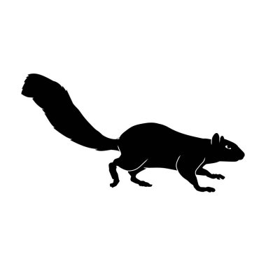 Bir sincabın silueti