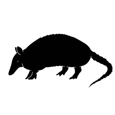 Bir armadillo hayvanının silueti.