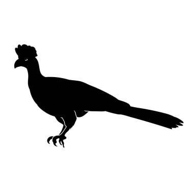 Tavus kuşu silueti