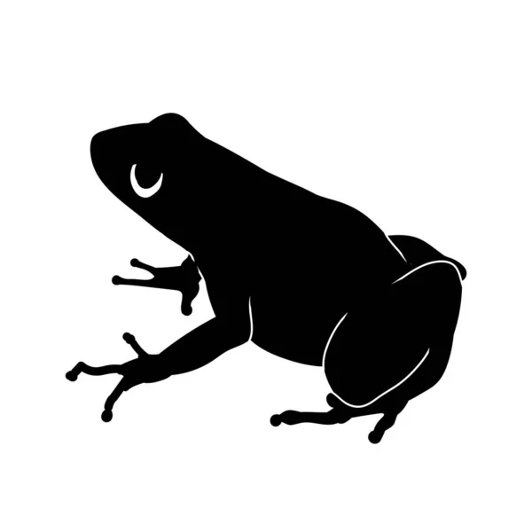 Silueta Stromu Žába Obojživelné Zvíře Izolované Bílém Pozadí — Stockový vektor