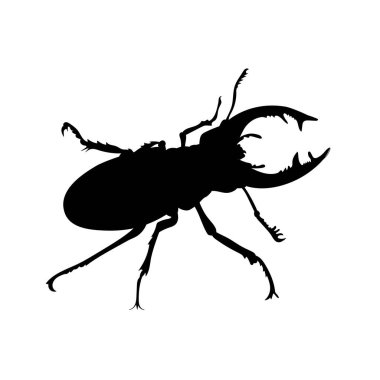 Geyik böceğinin siluet çizimi