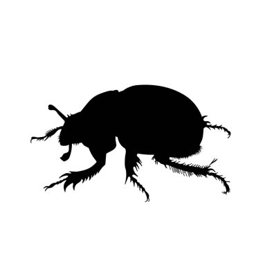 Bir bok böceğinin silueti.