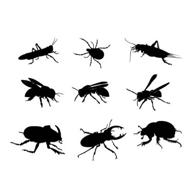 Çeşitli böcek ve böceklerin siluet koleksiyonu