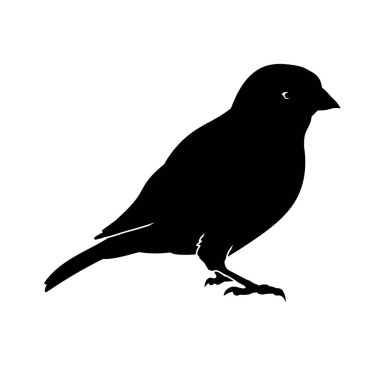 Küçük bir kuşun silueti