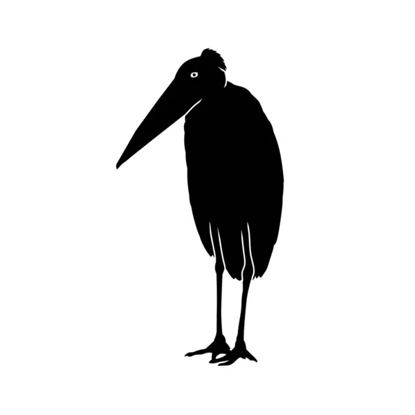 Vector Silhouette Standing Marabou Stork — Stock Vector