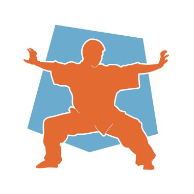 Dövüş sanatlarında dövüşen bir erkeğin silueti. Dövüş sanatları yapan bir adamın silueti..