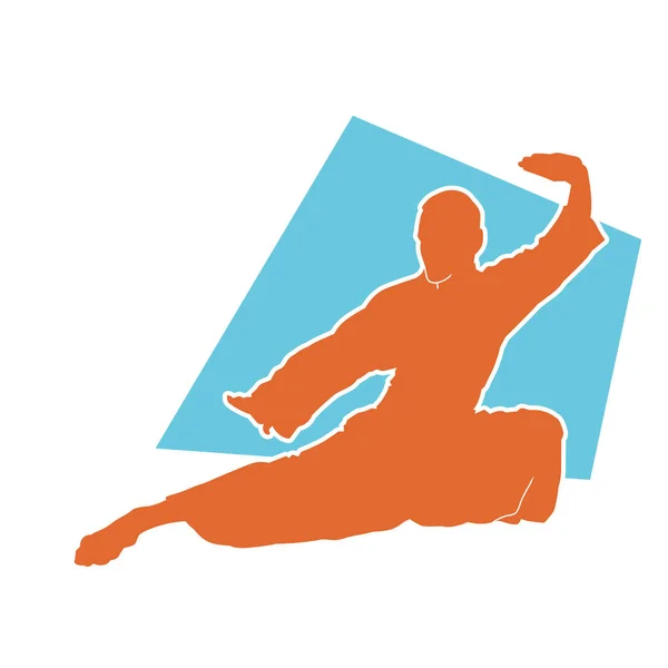 Silhouette Praticien Art Martial Aikido Action Pose Silhouette Artiste Martial — Image vectorielle