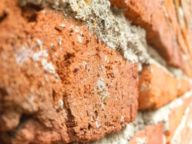 Havan alçısıyla yapıştırılmış kırmızı tuğla duvar kaba dokusu yakın fotoğraf.
