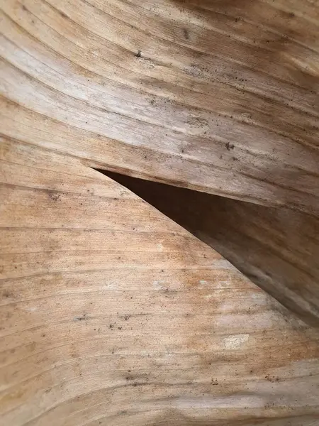 Hnědé Suché Listy Povrchu Textury Povrchová Textura Přírodního Hnědého Listí — Stock fotografie