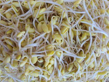 Soya fasulyesinden yapılan filizli yiyecekleri kapatın..