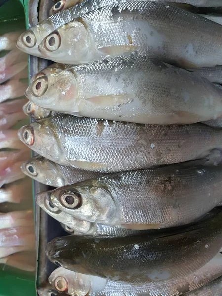 stock image Bulk of dead raw fishes for food in traditional market.