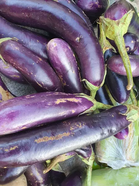 Mor Renkli Patlıcan Sebzelerinin Büyük Bir Kısmını Koyu Mor Derilerle — Stok fotoğraf