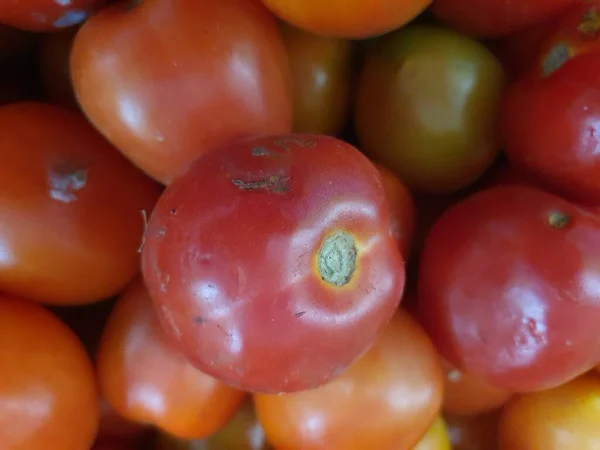 Massen Von Tomatenfrüchten Gemüsepflanzen Mit Frischer Rötlich Orangefarbener Schale — Stockfoto