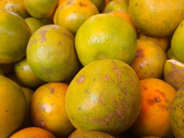 Geleneksel pazarda portakal meyveleri veya turunçgiller.