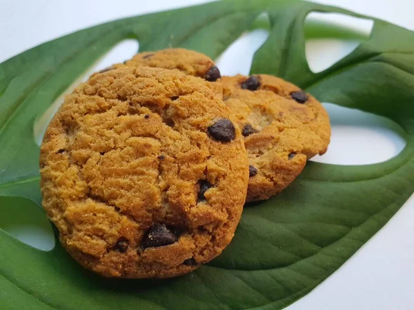 Chocolate Chips Cookies Auf Frischem Grünen Monstera Blatt Auf Weißer — Stockfoto