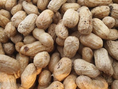 Fıstık fotoğrafının doku arkaplanı için yakın plan 