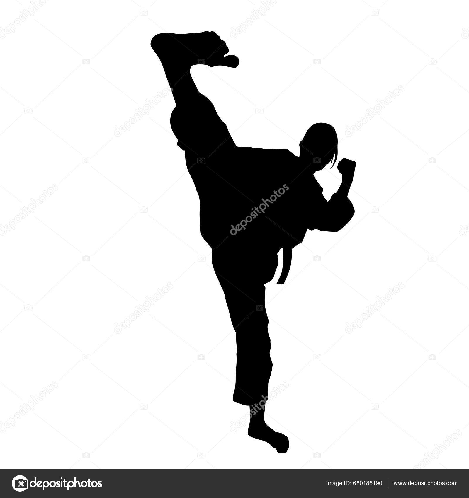 Silhouette Woman Kicking Pose Silhouette Female Martial Art Action Pose ...