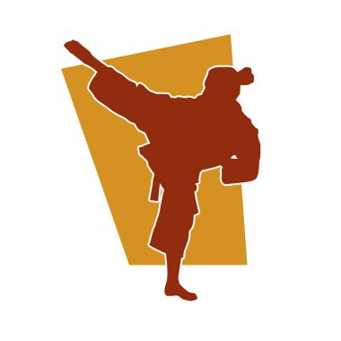 Tekmeleyen bir kadının silueti. Hareket halindeki bir kadın dövüş sanatının silüeti..