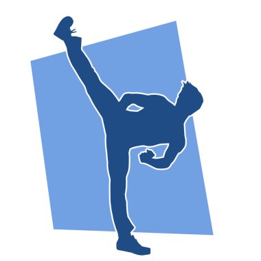 Dövüş sanatları pozu veren bir erkeğin silueti. Dövüş sanatları ustasının silueti tekme atma pozu veriyor..