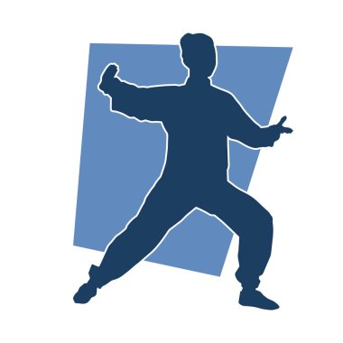 Dövüş sanatları pozisyonunda zayıf bir kadının silueti. Bir kadın dövüş sanatları hareketinin silüeti..