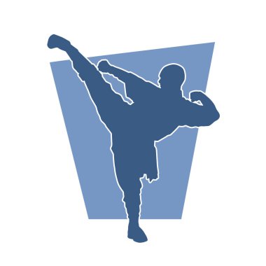 Dövüş sanatları pozu veren bir erkeğin silueti. Dövüş sanatları ustasının silueti tekme atma pozu veriyor..