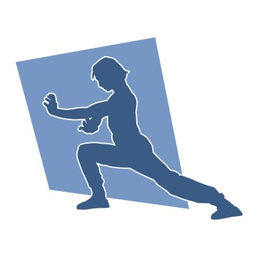 Doğu dövüş sanatı pozu veren bir adamın silueti. Dövüş sanatlarında bir erkeğin silueti..