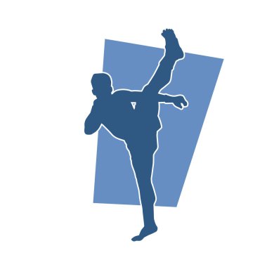Dövüş sanatları ustasının silueti tekme hareketi yapıyor. Sportif bir erkeğin silueti dövüş sanatı pozu veriyor..