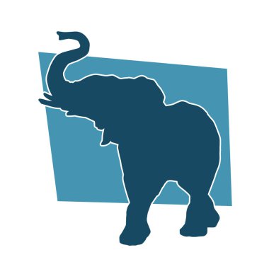 Büyük bir fil hayvanının silueti. Vahşi bir fil hayvanının silueti..