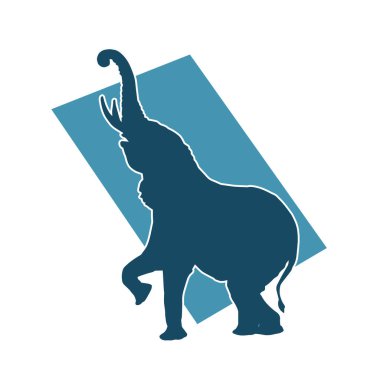 Büyük bir fil hayvanının silueti. Vahşi bir fil hayvanının silueti..