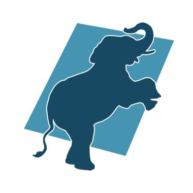 Büyük bir fil hayvanının silueti. Vahşi bir fil hayvanının silueti..