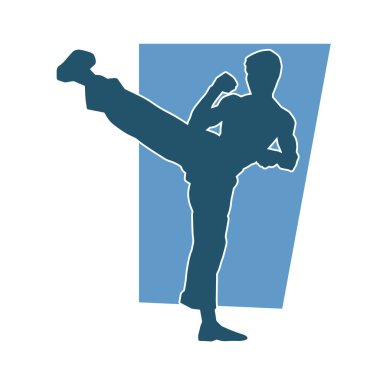 Dövüş sanatları pozu veren bir erkeğin silueti. Dövüş sanatları ustasının silueti tekme atma pozu veriyor..