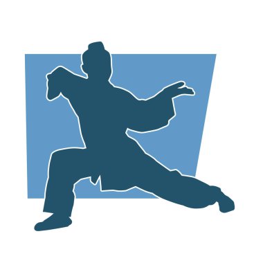 Doğu dövüş sanatı pozu vermiş bir kadının silueti. Dövüş sanatlarında bir kadının silueti..