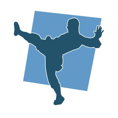 Dövüş sanatları pozu veren bir erkeğin silueti. Dövüş sanatları ustasının silueti tekme atma pozu veriyor..