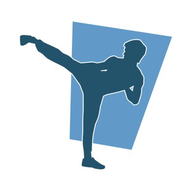 Dövüş sanatları pozu veren bir erkeğin silueti. Dövüş sanatları ustasının silueti tekme atma pozu veriyor..