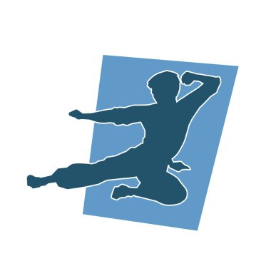 Dövüş sanatları pozu veren bir erkeğin silueti. Dövüş sanatları ustasının silueti tekme atma pozu veriyor..