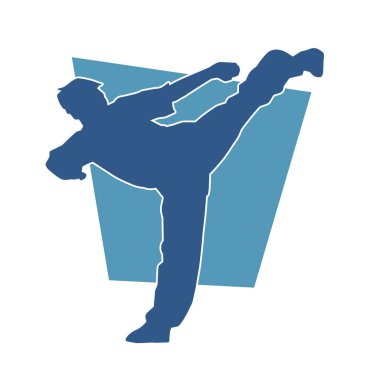 Dövüş sanatları pozu veren bir erkeğin silueti. Dövüş sanatları ustasının silueti tekme atma pozu veriyor..