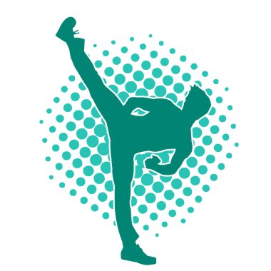 Dövüş sanatları pozu veren bir erkeğin silueti. Dövüş sanatları ustasının silueti tekme atma pozu veriyor..