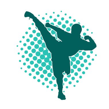 Dövüş sanatları pozu veren bir erkeğin silueti. Dövüş sanatları ustasının silueti tekme atma pozu veriyor..